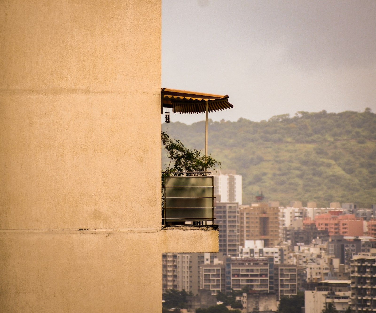 Balcony corner with plants and a view of the city